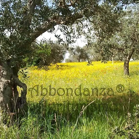 Farm stay Agriturismo Abbondanza