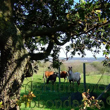 Agriturismo Abbondanza Farm stay Alberobello
