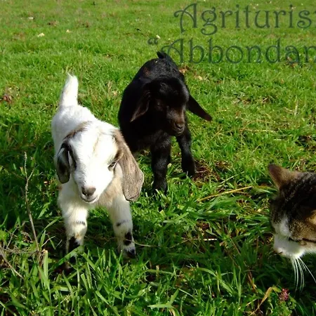 Agriturismo Abbondanza Farm stay