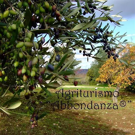 Farm stay Agriturismo Abbondanza *
